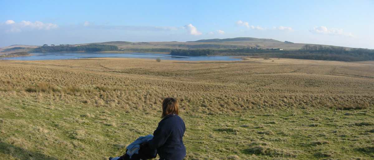 Looking north over Greenlee to Hadrian's Wall