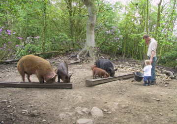 Feeding time