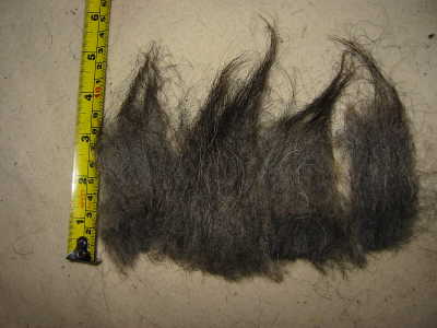 Herdwick wool detail