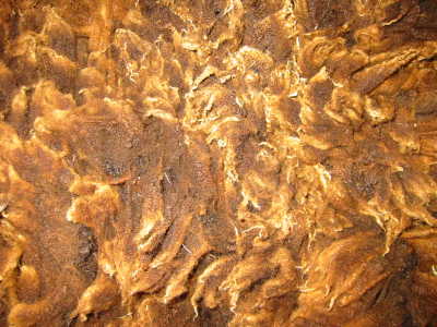 Shetland wool