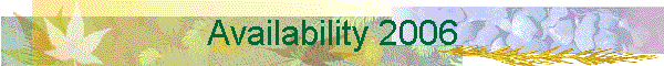 Availability 2006