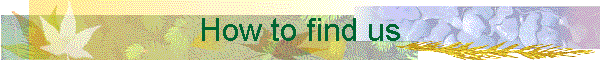 How to find us