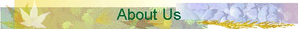 About Us