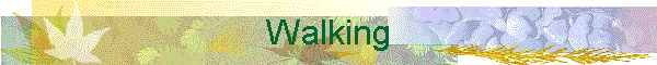Walking
